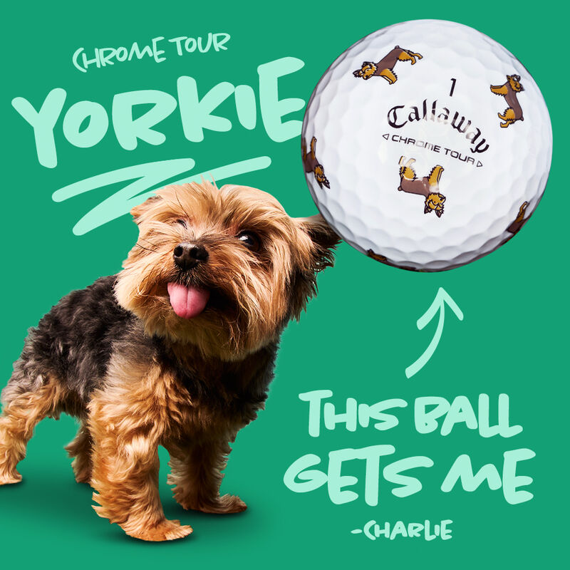 Chrome Tour Small Dogs: Yorkie Golf Balls - View 2