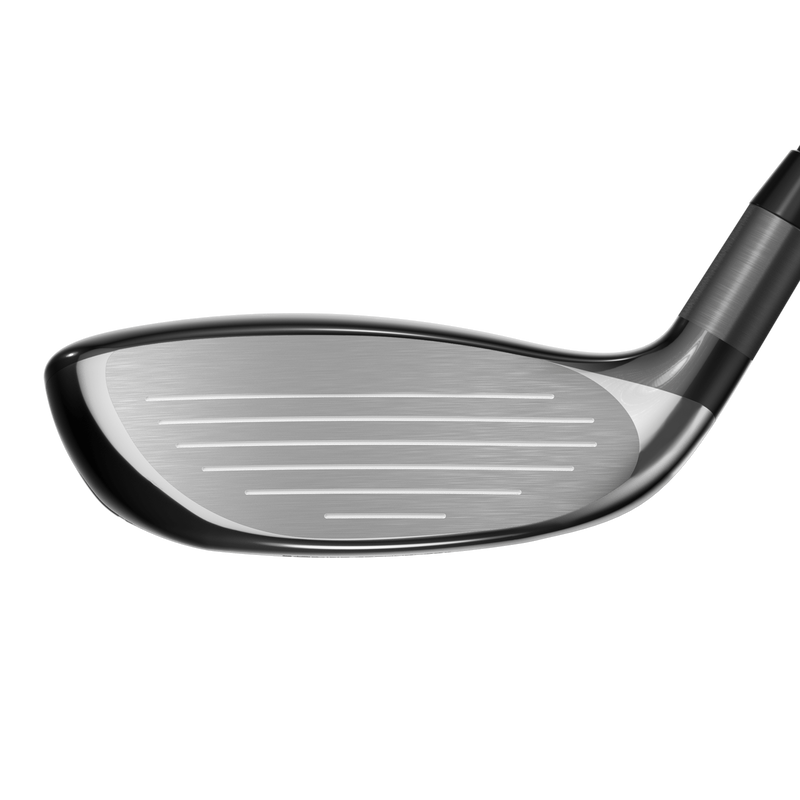 Apex Utility Holz - View 4