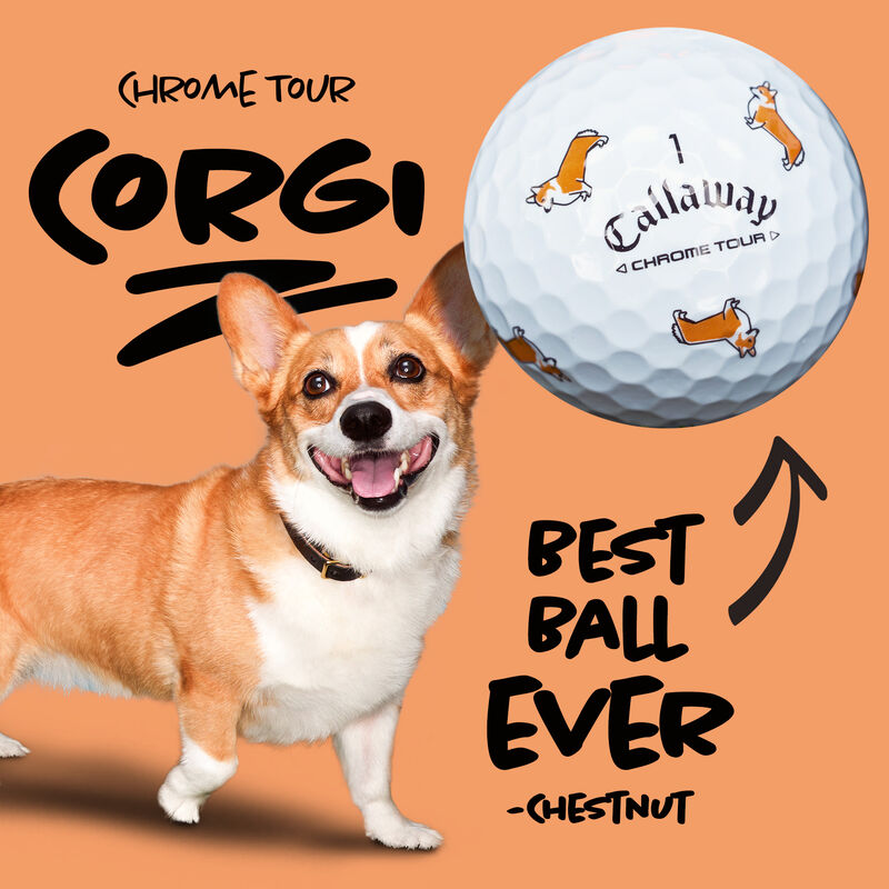 Chrome Tour Small Dogs: Corgi Golfbälle - View 2