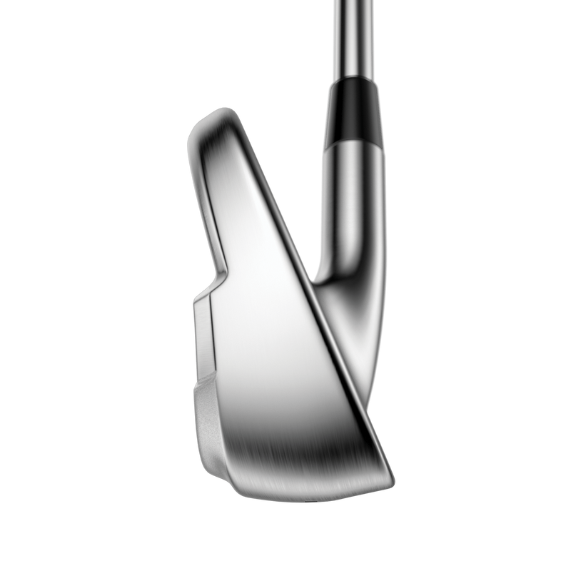 Quantum MAX Eisen - View 6