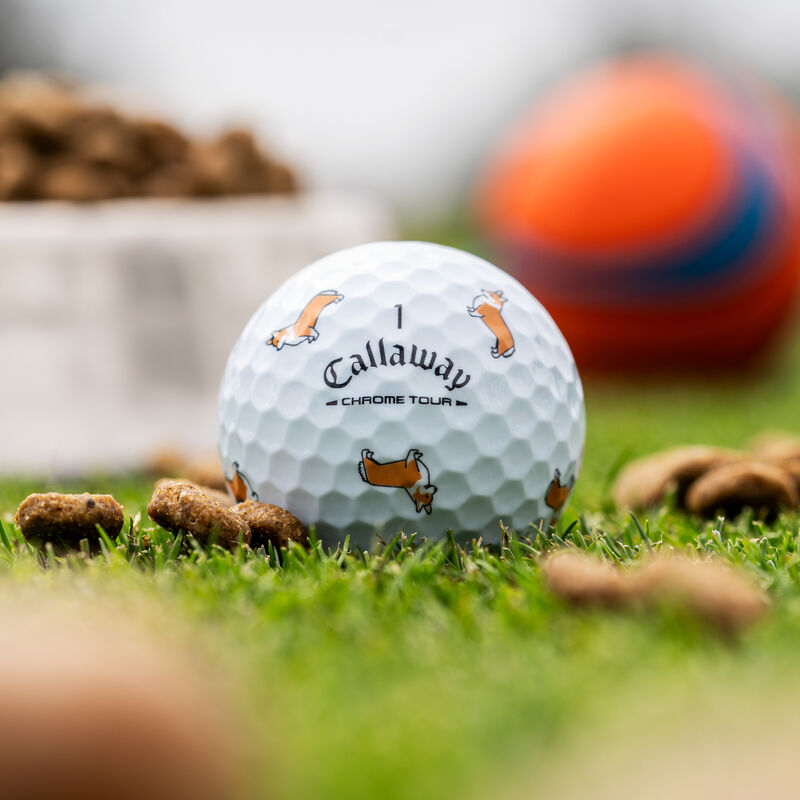 Chrome Tour Corgi Dog Golf Balls - View 1