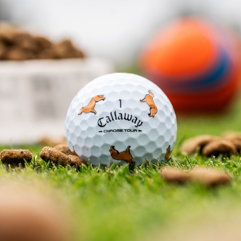 Chrome Tour Golden Retriever Dog Golf Balls - View 2