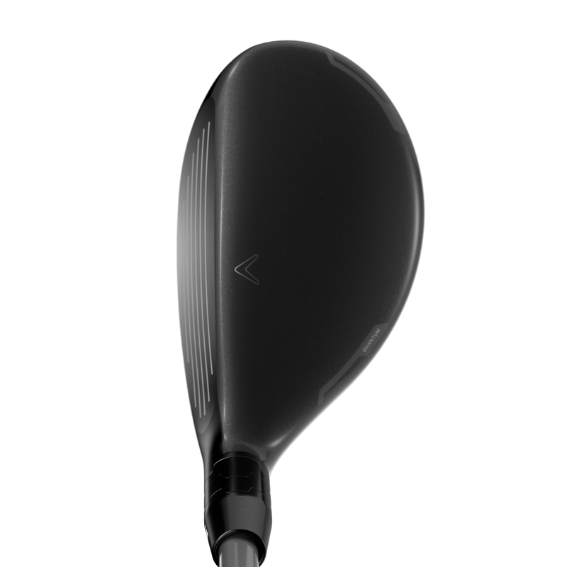 Quantum MAX Hybrid - View 4