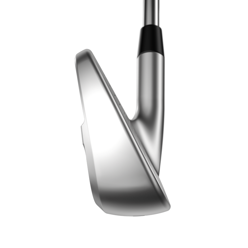 Apex Pro Eisen - View 5
