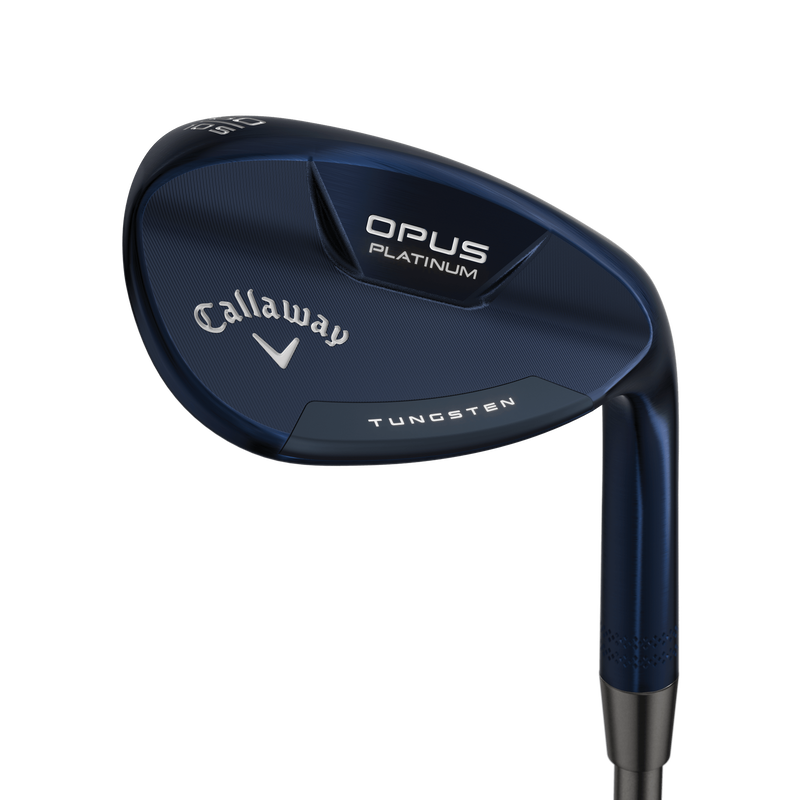 Opus Wedge in Platinum Blue - View 1