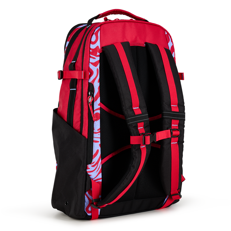 Alpha 25L Backpack - View 4
