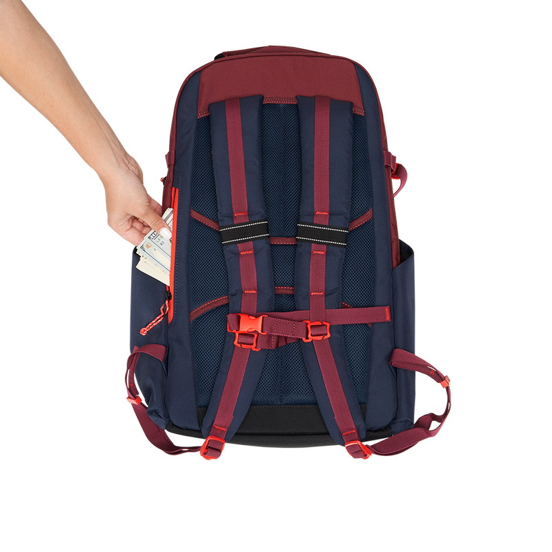 Alpha 25L Backpack - View 10
