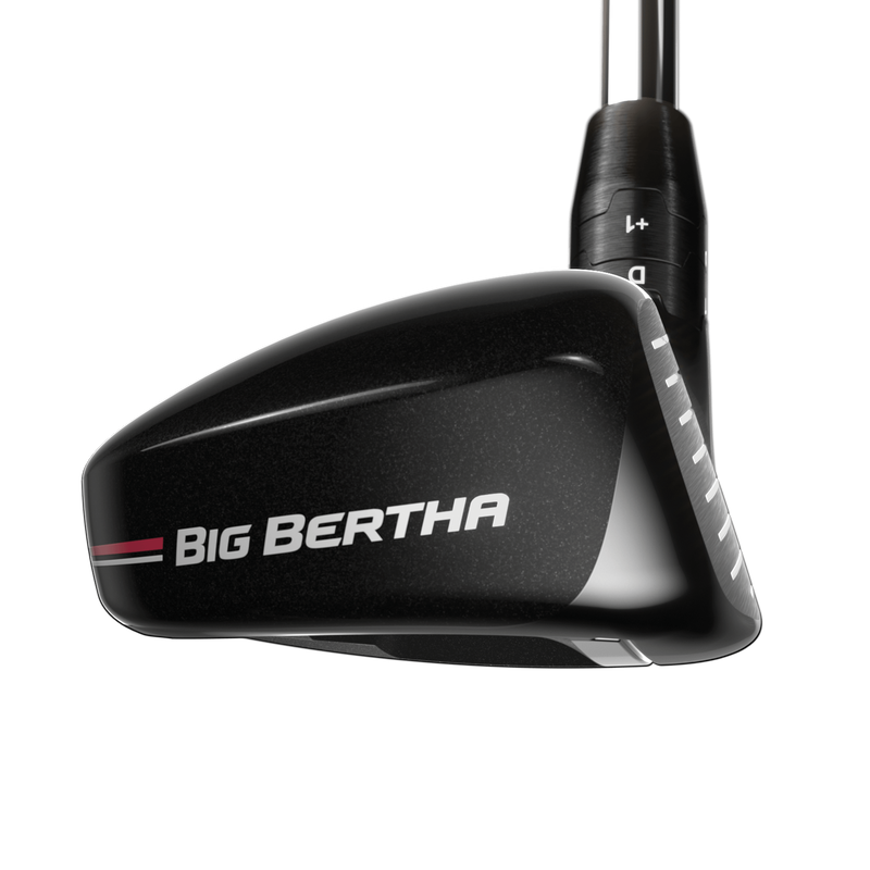 Big Bertha Hybrids - View 3