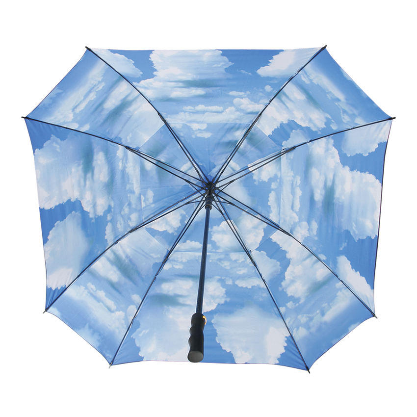Blue Sky Umbrella - View 2