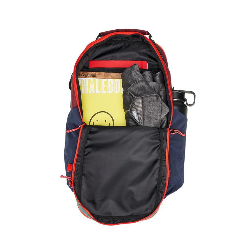 ALPHA 25L Backpack - View 6