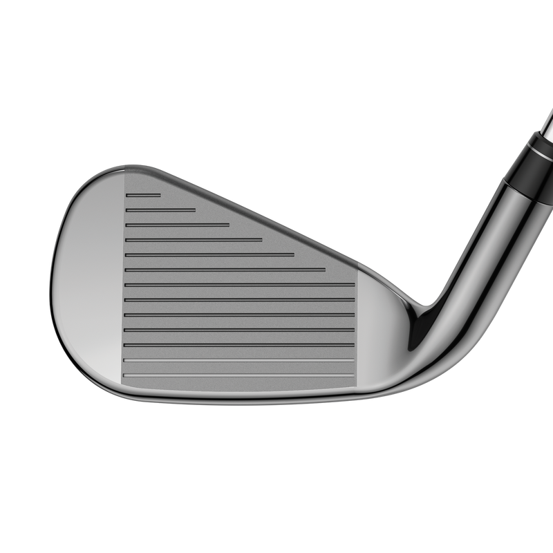 Big Bertha Irons - View 3