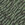 Forest Camo