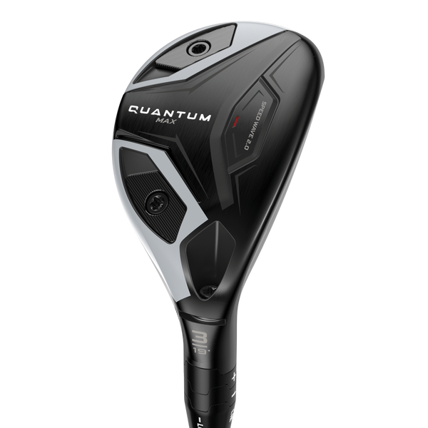 Quantum Max Hybrids