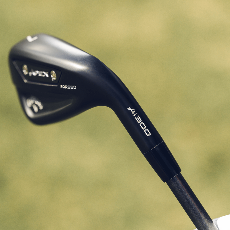 Apex Ai300 Black Shadow Irons - View 4
