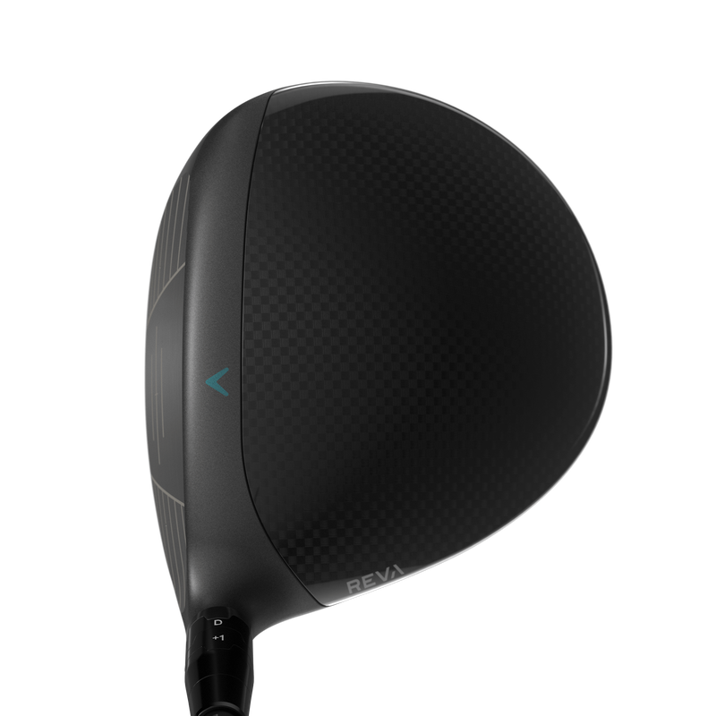 Driver REVA RISE - View 2