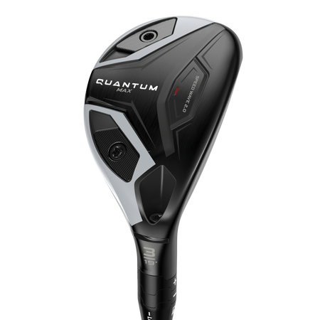 Hybride Quantum MAX