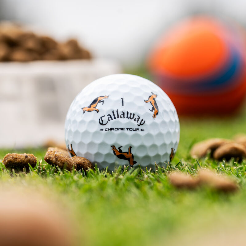 Chrome Tour German Shepherd Dog Golf Balls - View 1