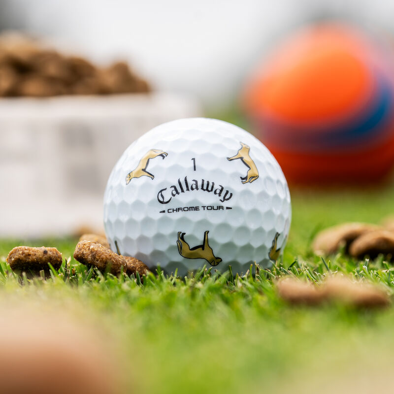 Chrome Tour Yellow Lab Dog Golf Balls - View 1