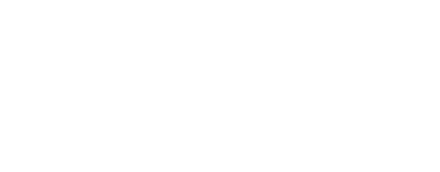 Custom Logo