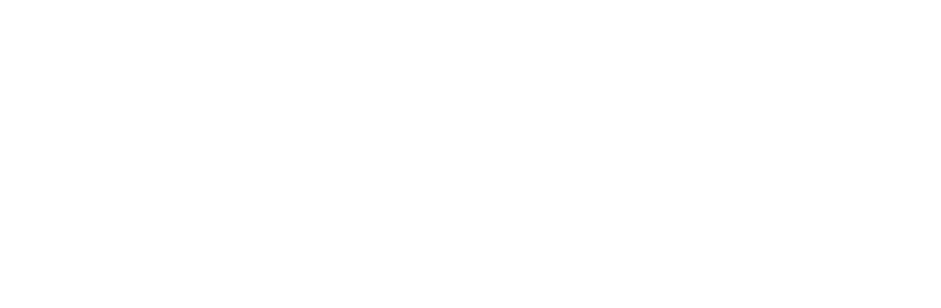 Elyte Logo
