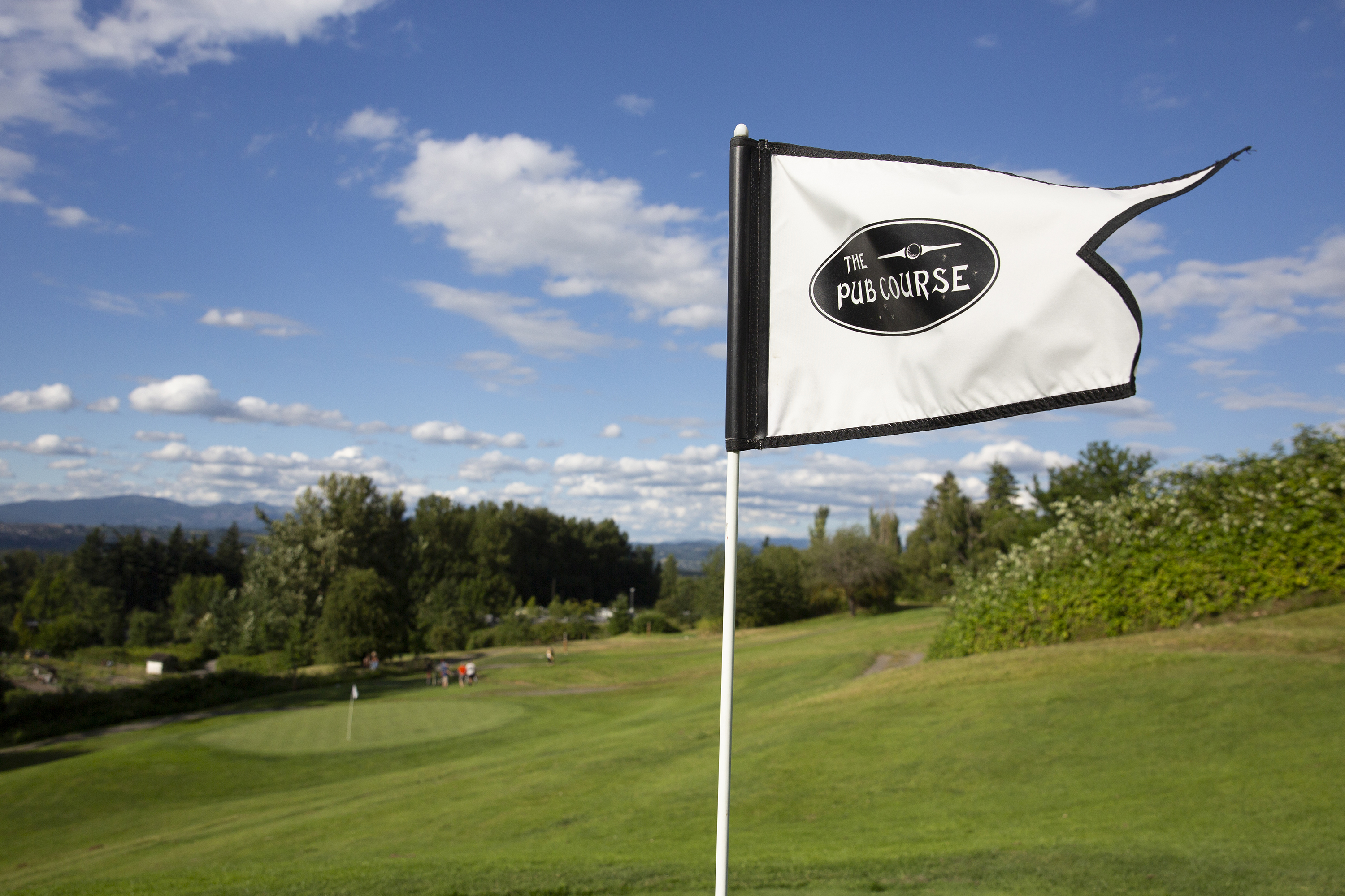 Pub Course Flag